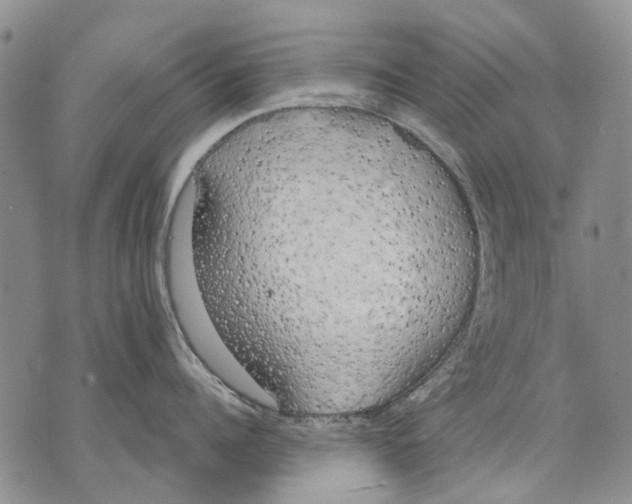 X0000071770960200607282210