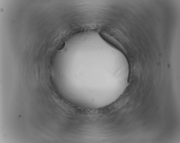 X0000071770961200607282209