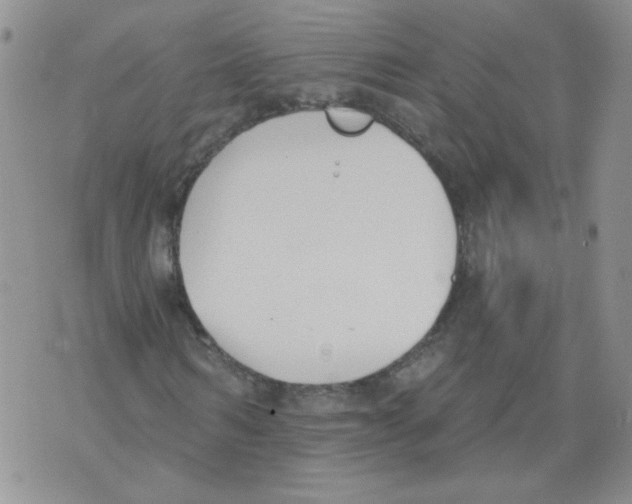 X0000071770962200607282209