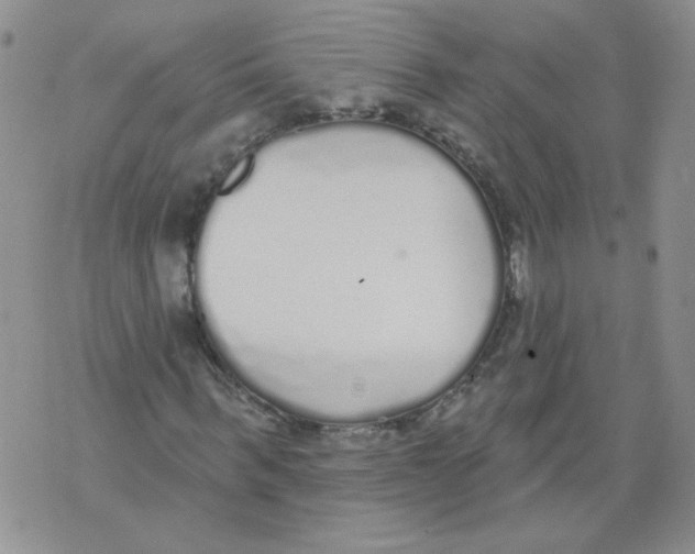 X0000071770963200607282209