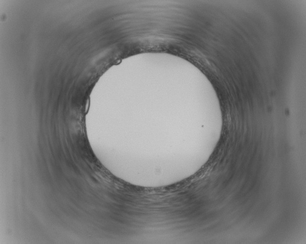 X0000071770964200607282209