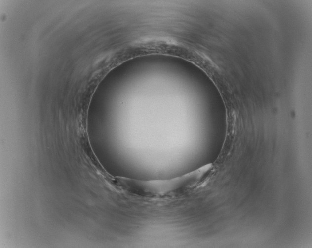 X0000071770965200607282209