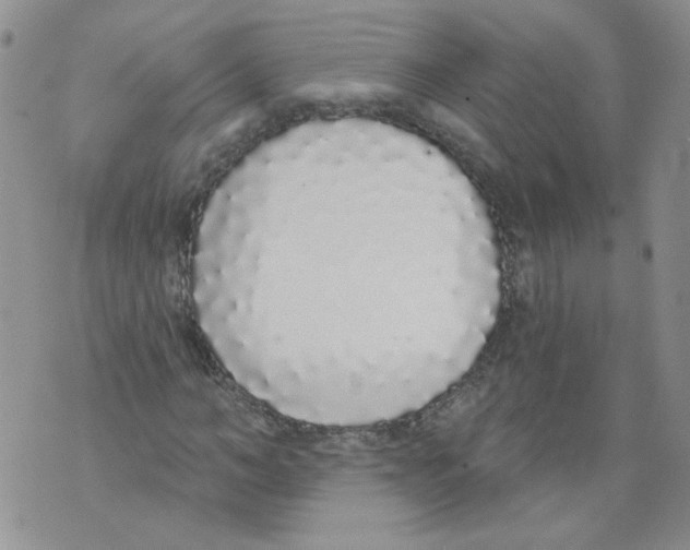 X0000071770966200607282209