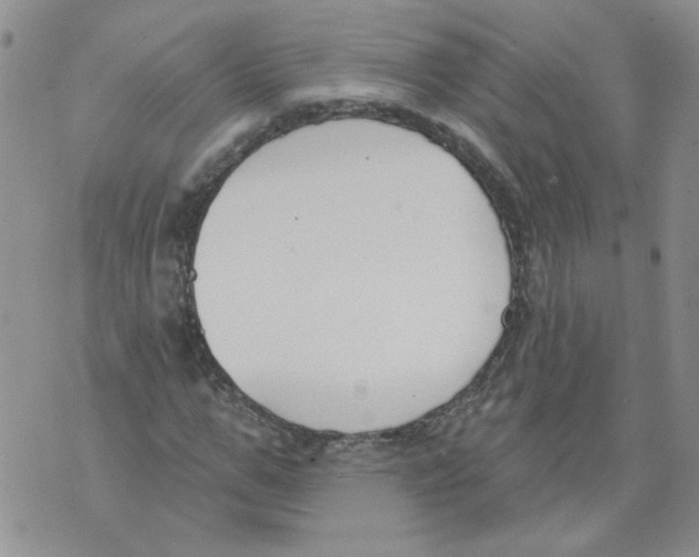 X0000071770967200607282209