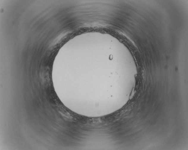 X0000071770968200607282209