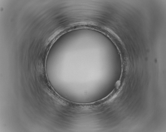 X0000071770969200607282209