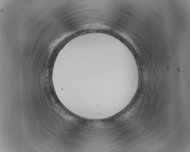 X0000071770971200607282209