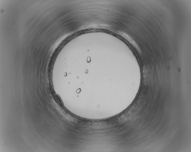 X0000071770972200607282209