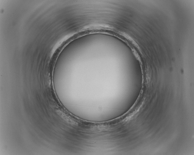 X0000071770973200607282209