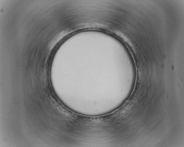 X0000071770975200607282209