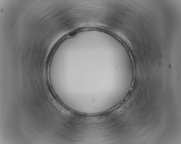 X0000071770976200607282209