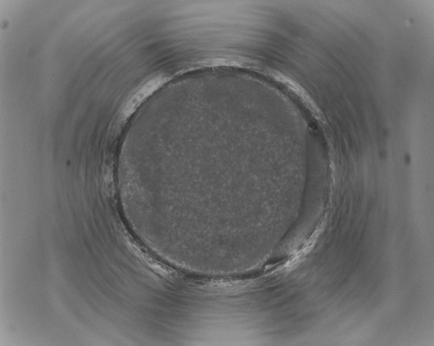 X0000071770977200607282209