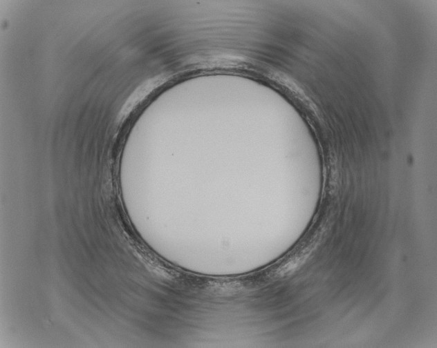 X0000071770978200607282209