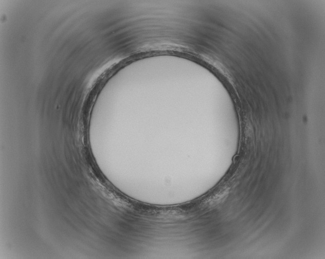 X0000071770979200607282209