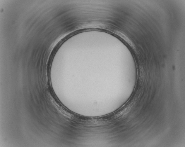 X0000071770980200607282209