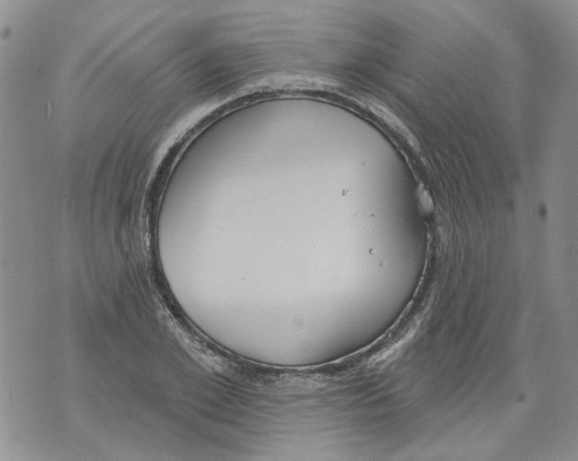 X0000071770981200607282209