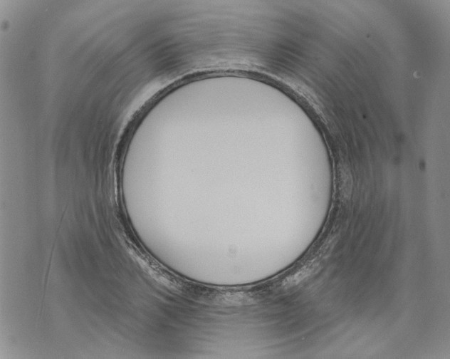 X0000071770982200607282209