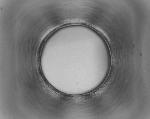 X0000071770983200607282209