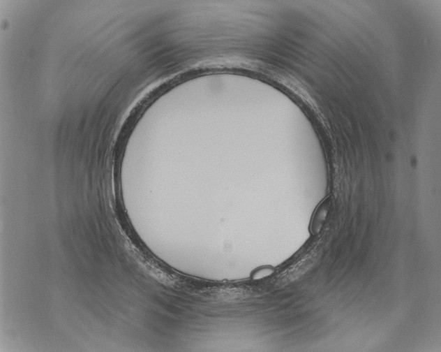 X0000071770984200607282209