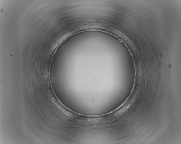 X0000071770985200607282209