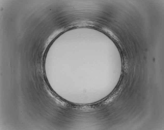 X0000071770986200607282209