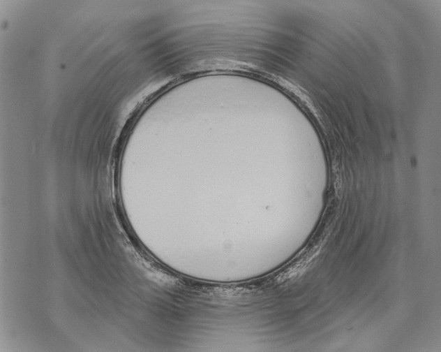 X0000071770987200607282209