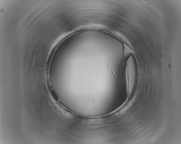 X0000071770989200607282209