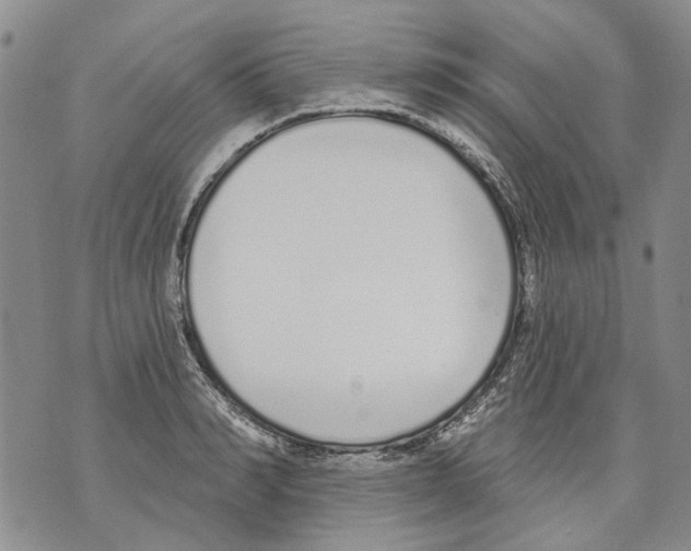 X0000071770990200607282209