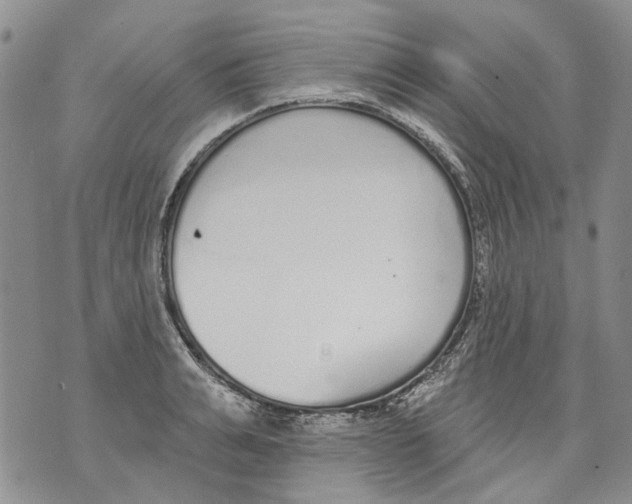 X0000071770991200607282209