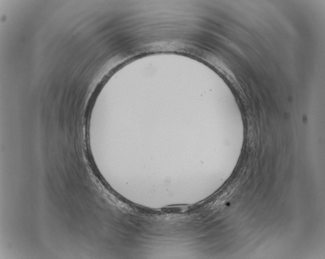 X0000071770992200607282209