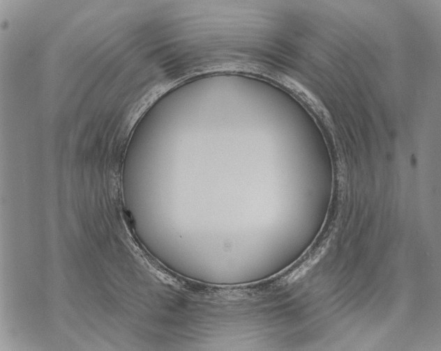 X0000071770993200607282208