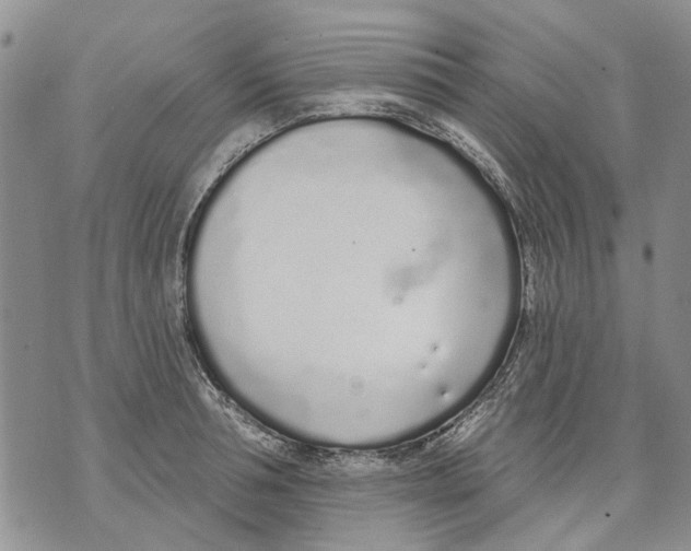 X0000071770994200607282208