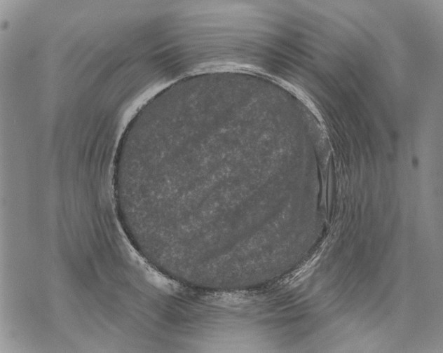 X0000071770995200607282208