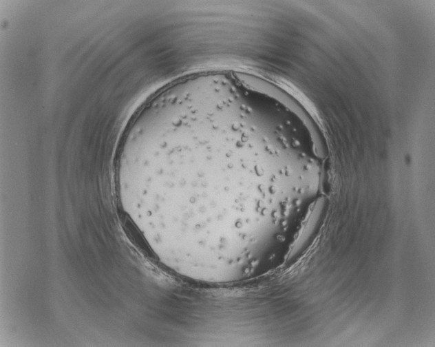 X0000071770996200607282208