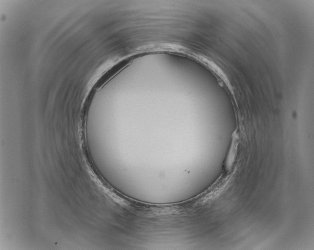 X0000071770997200607282208