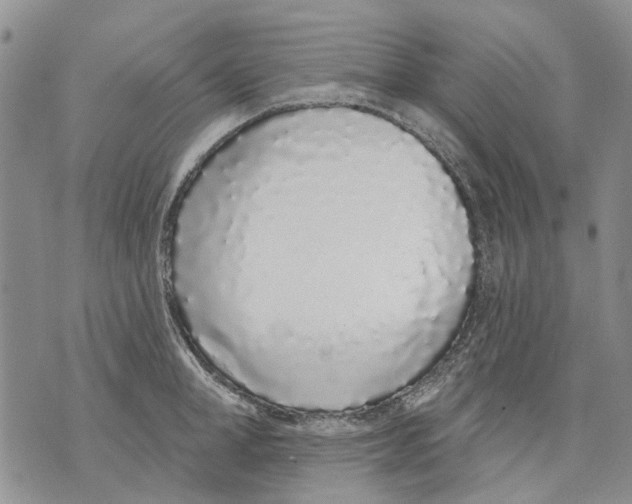 X0000071770998200607282208