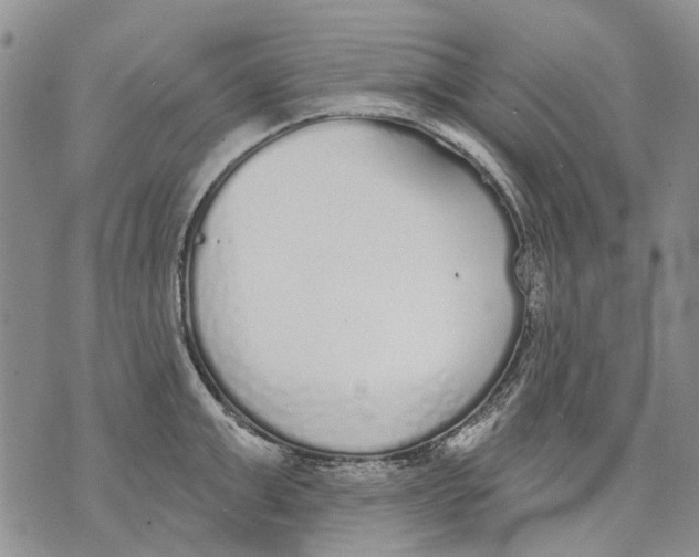 X0000071770999200607282208