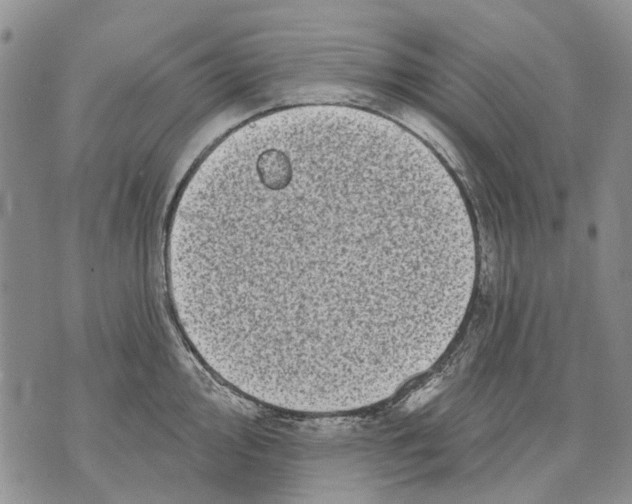 X0000071771000200607282208