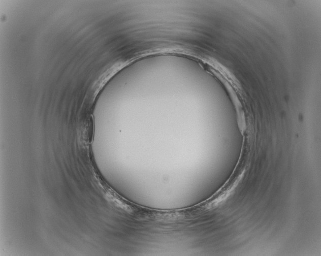 X0000071771001200607282208