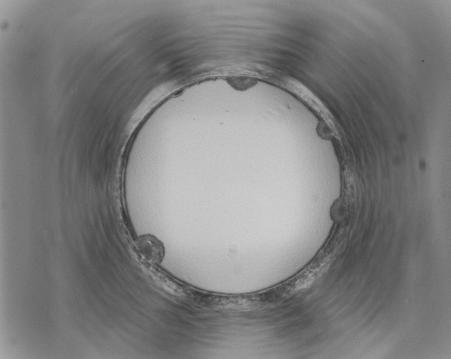 X0000071771002200607282208