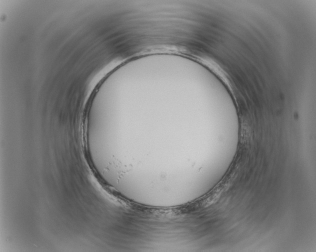 X0000071771003200607282208