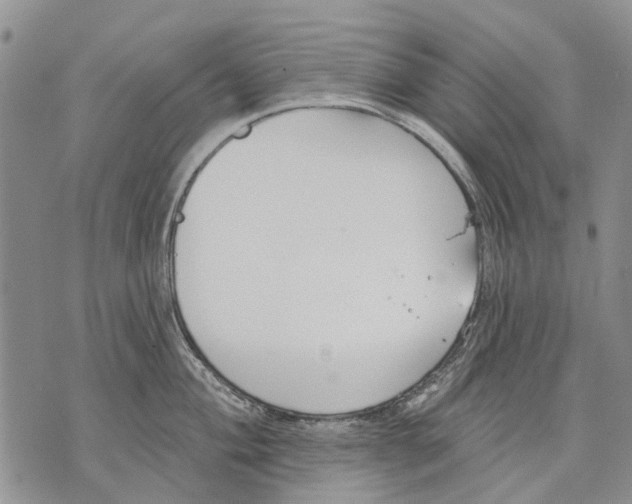 X0000071771004200607282208