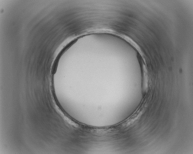 X0000071771005200607282208