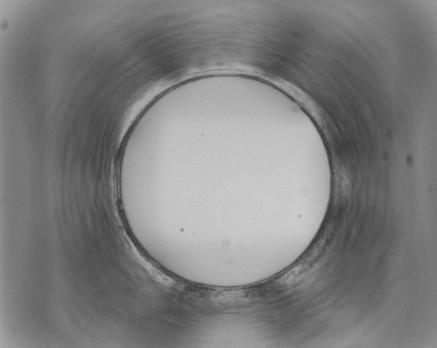 X0000071771006200607282208