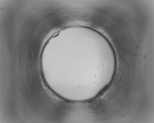 X0000071771008200607282208