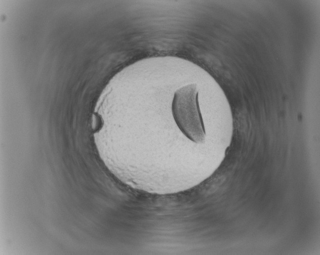 X0000071771009200607282207