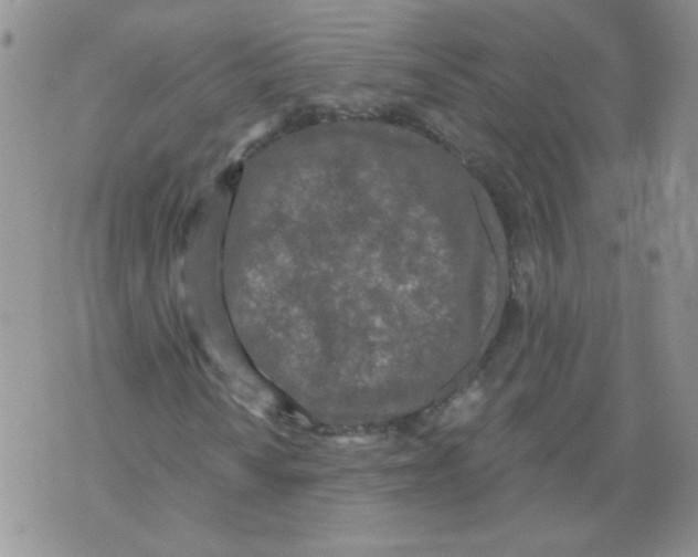 X0000071771010200607282207