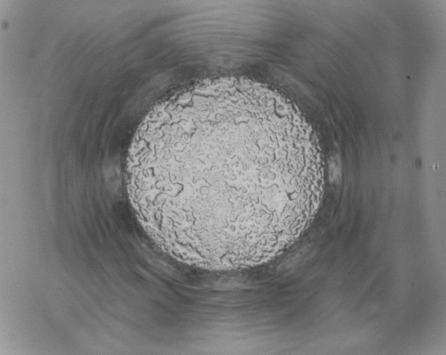 X0000071771011200607282208