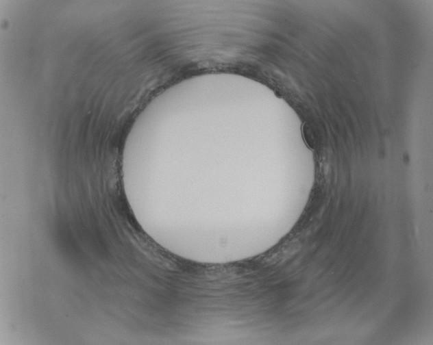 X0000071771012200607282208