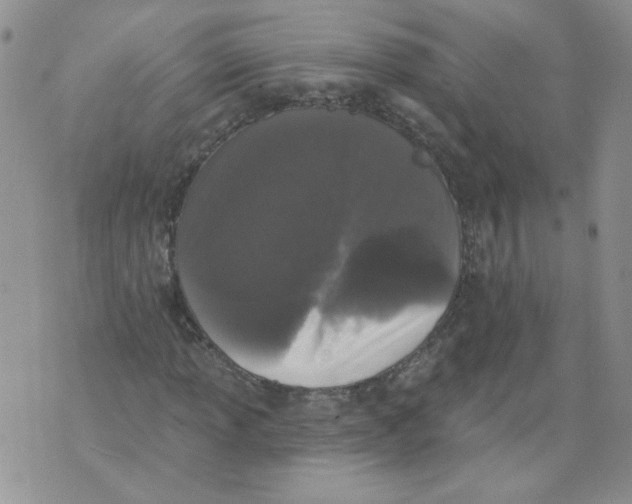 X0000071771013200607282208